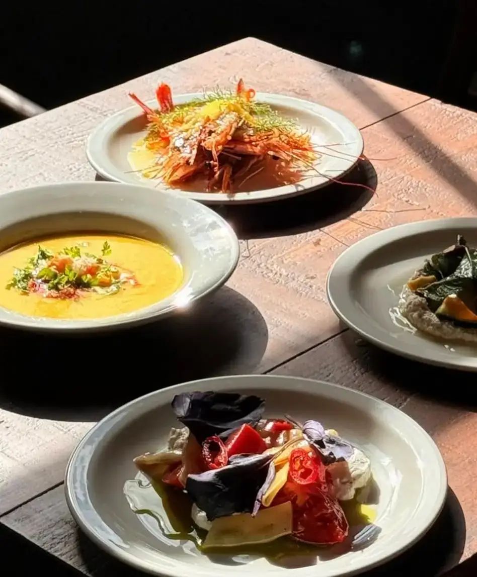 🔒 VIP CLUB: 50% off food in Highgate until 7th September