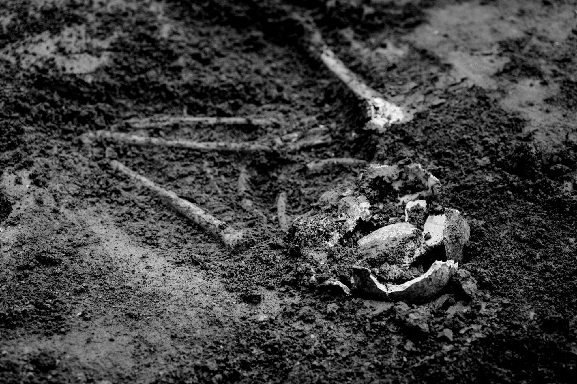 The Last Woman