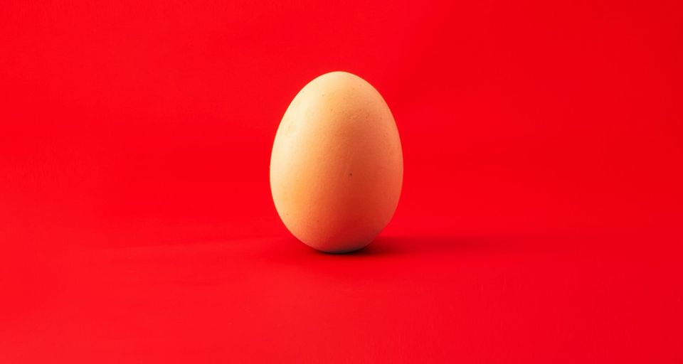 Ovum