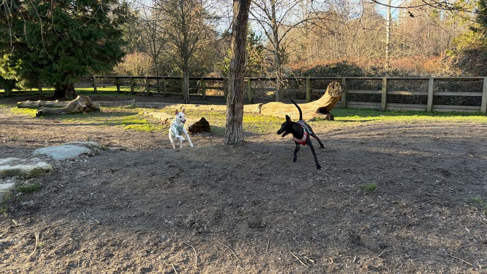 你最近還好嗎？