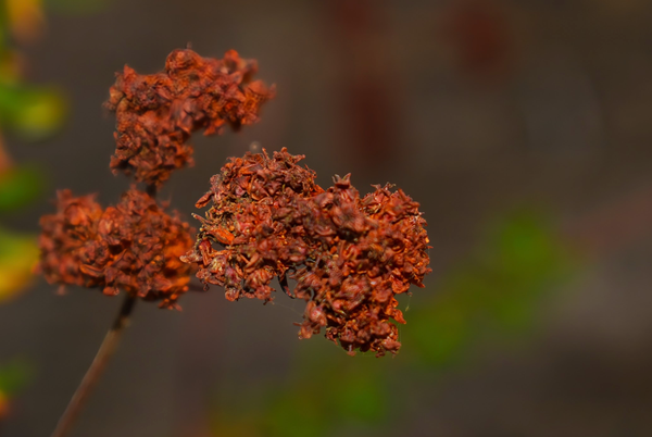 Today is More