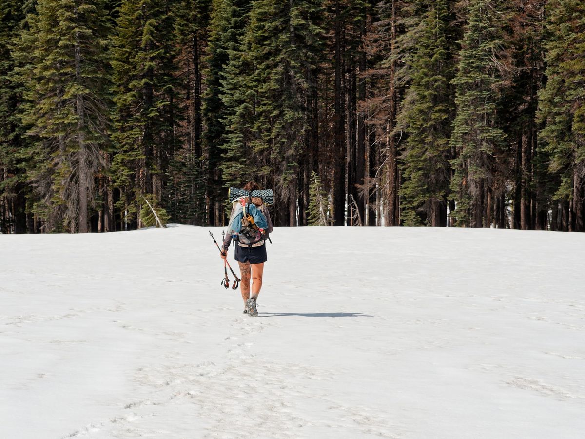 PCT Days 50 to 59 - Blowdowns and a Busted Tent