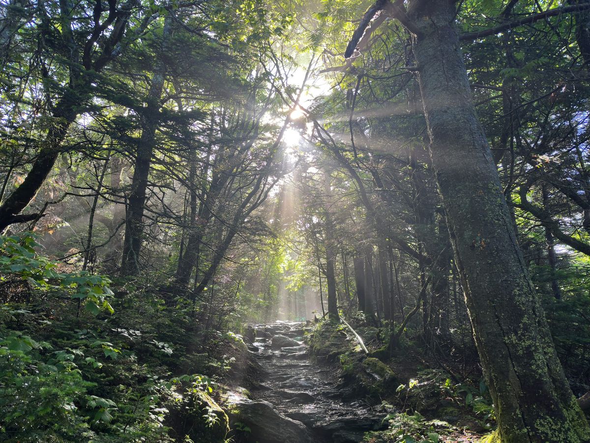 AT Days 100 to 109 - Through Mud, Storms, and Magic: A Soaked but Smiling Journey Across Massachusetts and Into Vermont