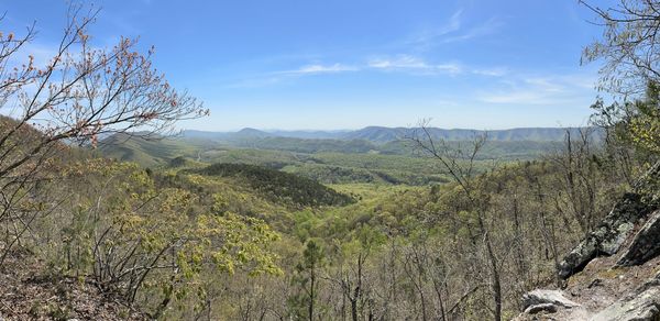 AT Days 40 to 49 - White Claws, Wild Goats, and the Road to McAfee Knob