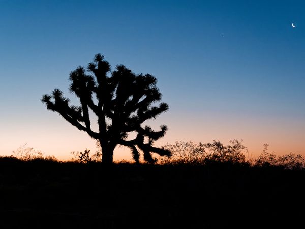 PCT Days 30 to 39 - Is it Winter or Summer?