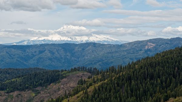 PCT Northern California - Photos
