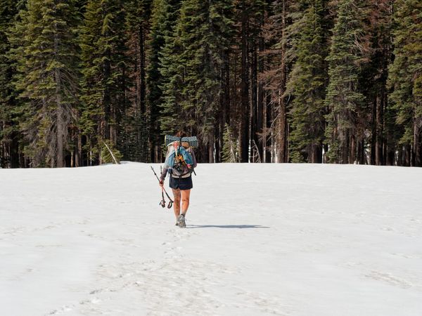PCT Days 50 to 59 - Blowdowns and a Busted Tent