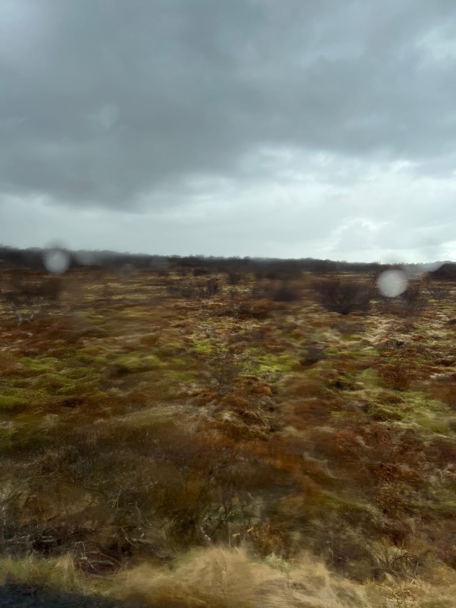 (i)solation on the mount / Sanctification