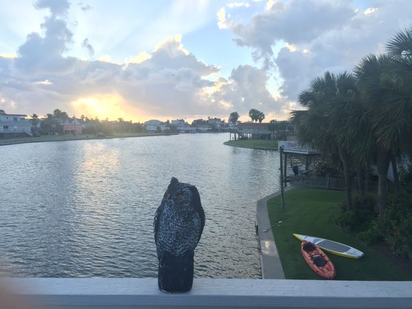 Friday Soulful Music