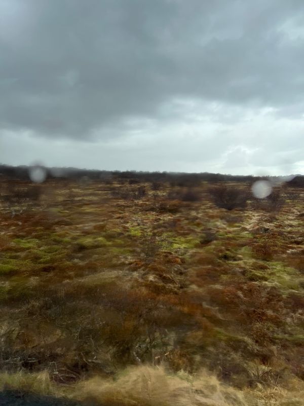 (i)solation on the mount / Sanctification