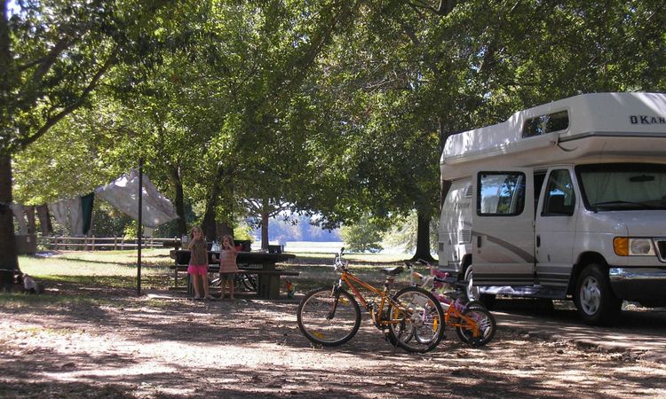 Camper Van Chronicles (Part 1)