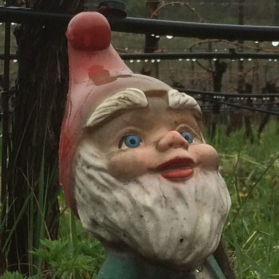 Wine in Germany & Austria