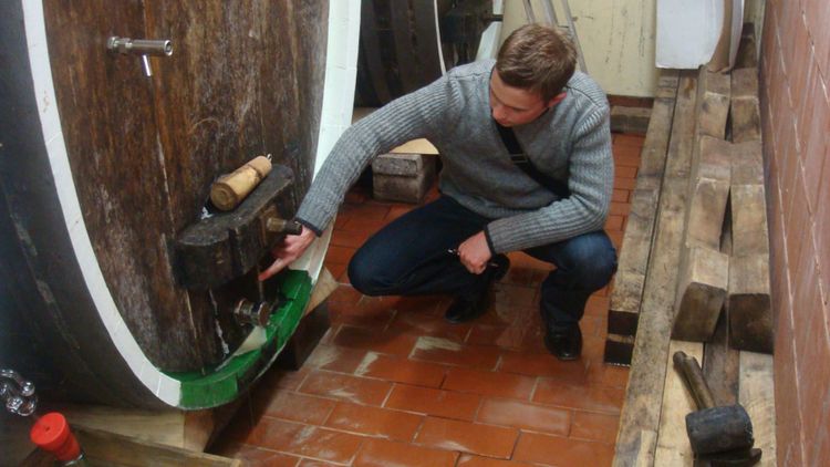 Plugging the gap at VDP.Weingut Christmann in 2008. 