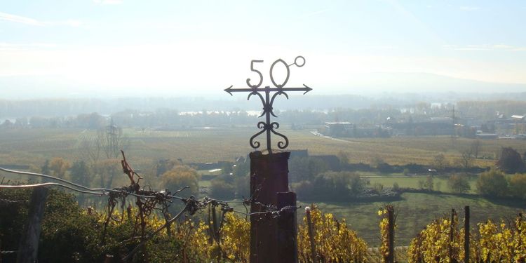The 50th parallel north cuts straight through Schloss Johannisberg in Rheingau. 