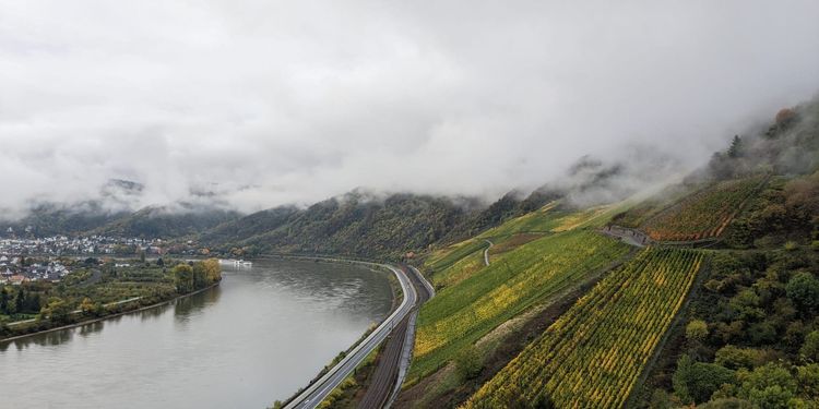 Mittelrheins Bopparder Hamm. 