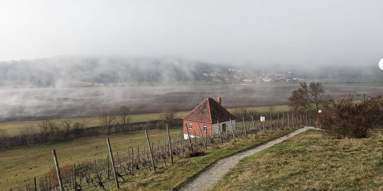 The calming beauty of winegrowing in the Saale Valley of former East Germany. 