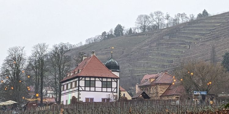 Visually stunning, no matter the season, the terraced vineyards of Sachsen.  