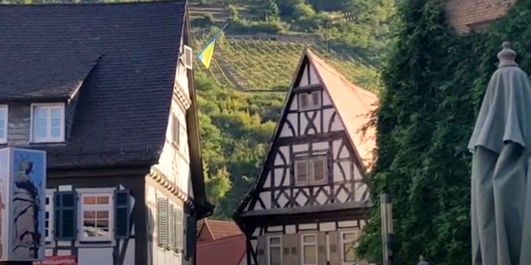 The morning sun on the Fachwerk houses of Heppenheim and the soaring vineyard behind them.