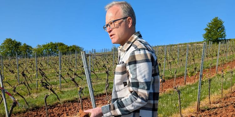 Jan Eymael in the Terra Rossa soils of VDP.Grosse Lage Weilberg. 