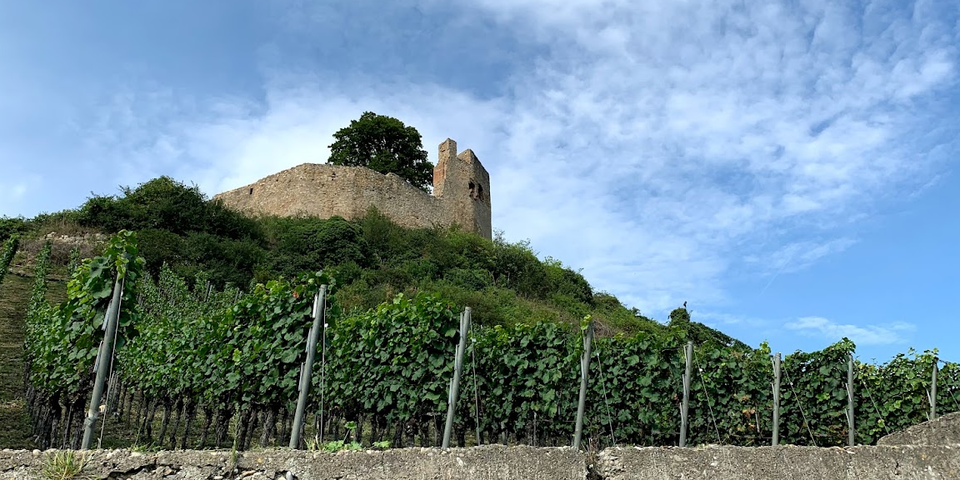 So many Schlossbergs, this a particularly good one from Julian Huber in Hecklingen, Baden. 