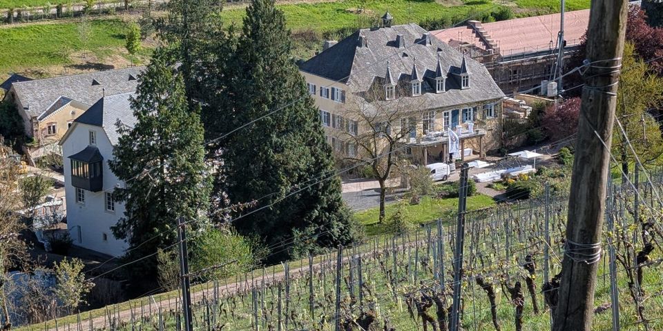 A view of the Karthäuserhof estate from the top of Karthäuserhofberg. 