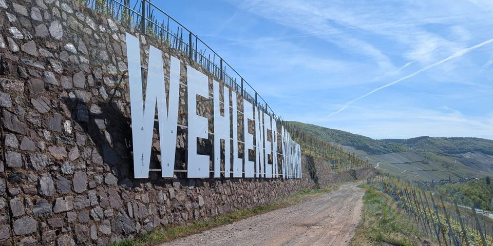 Wehlener Sonnenuhr, Mosel, Germany. 