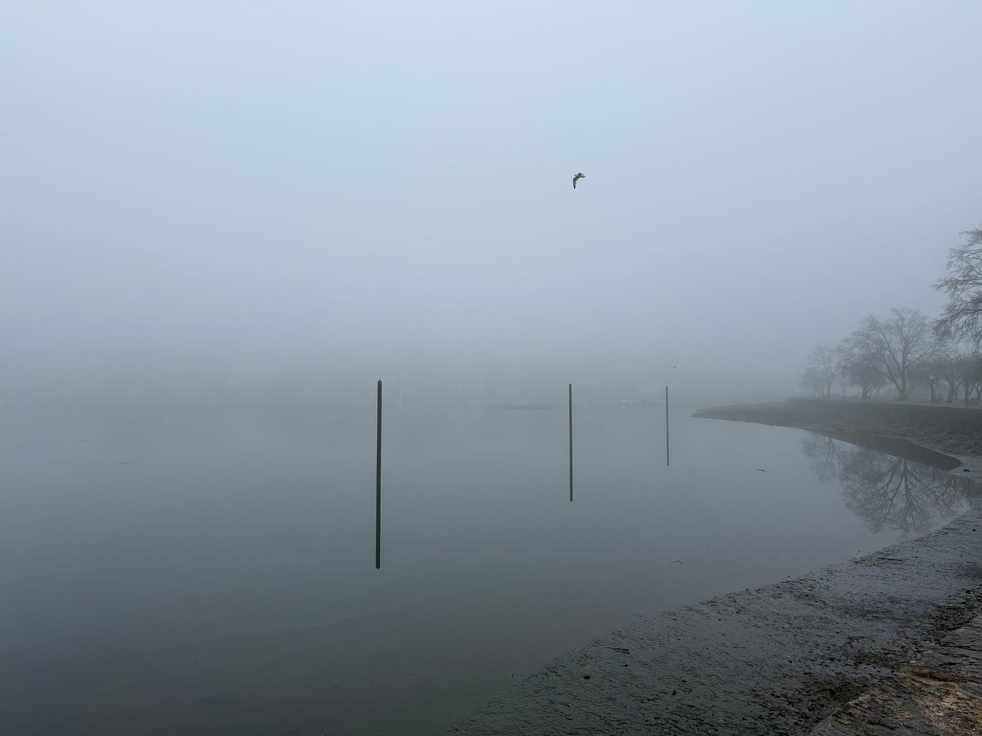 The Finite Scroll 003: Creating space for ideas, a fantastic co-op video game, WTF is happening with college kids and torpedo bats.