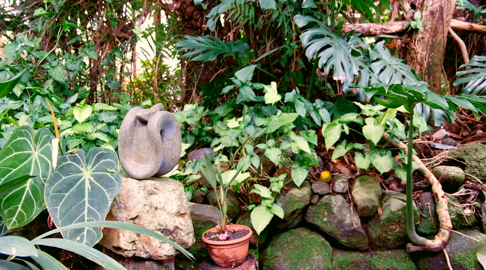Una escultura de una serpiente hecha en piedra -- probablemente de un rio  -- con tonos morados y grises pastel. Escultor: José Sancho Benito