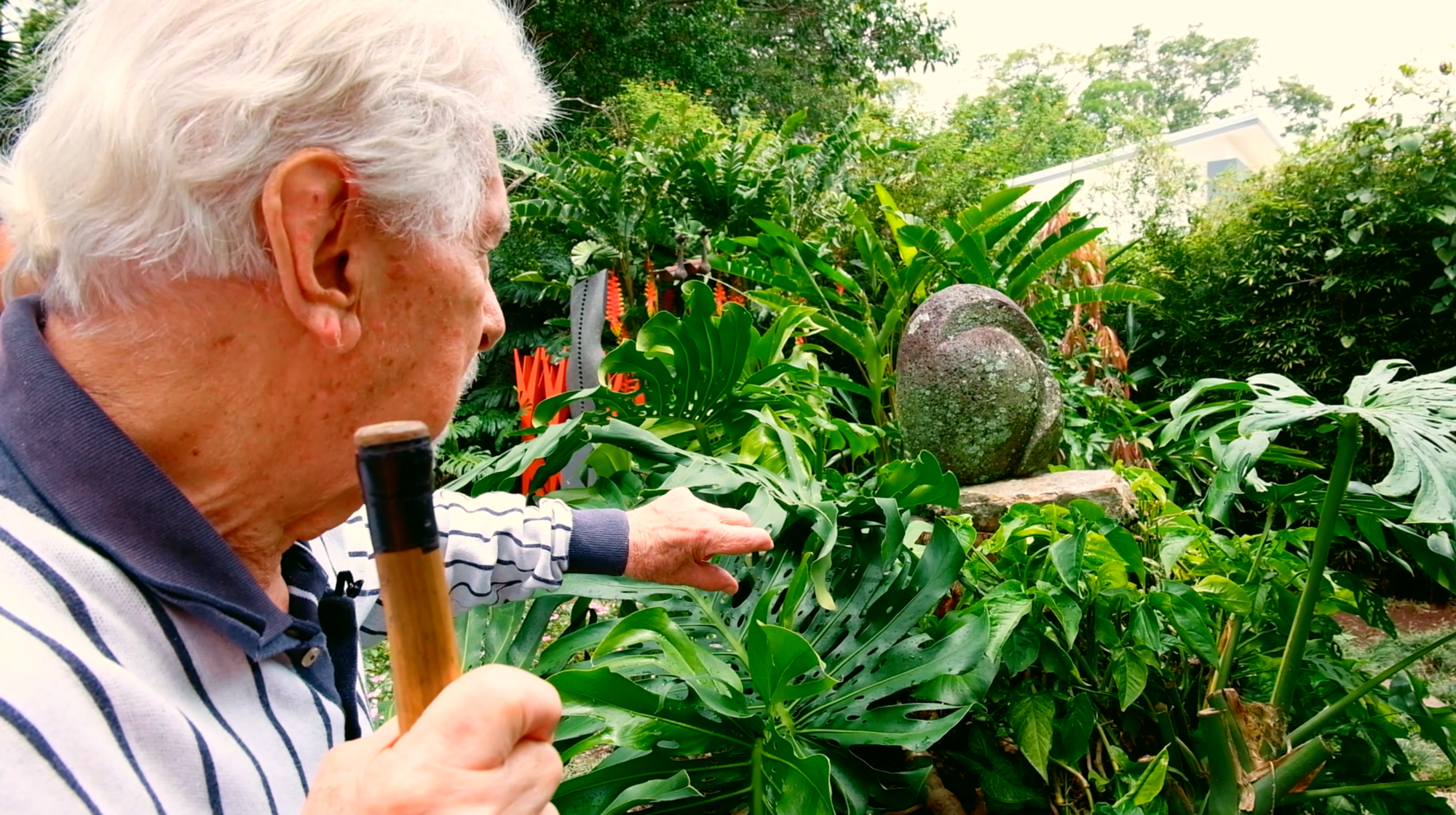 El escultor costarricense José Sancho Benito explicando la dinámica de la relación entre un pingüino macho y sus hijos. Para lograr captar la naturaleza de esta especie, Don José viajo a la Antártida entre varios otros lugares con vida silvestre y salvaje.