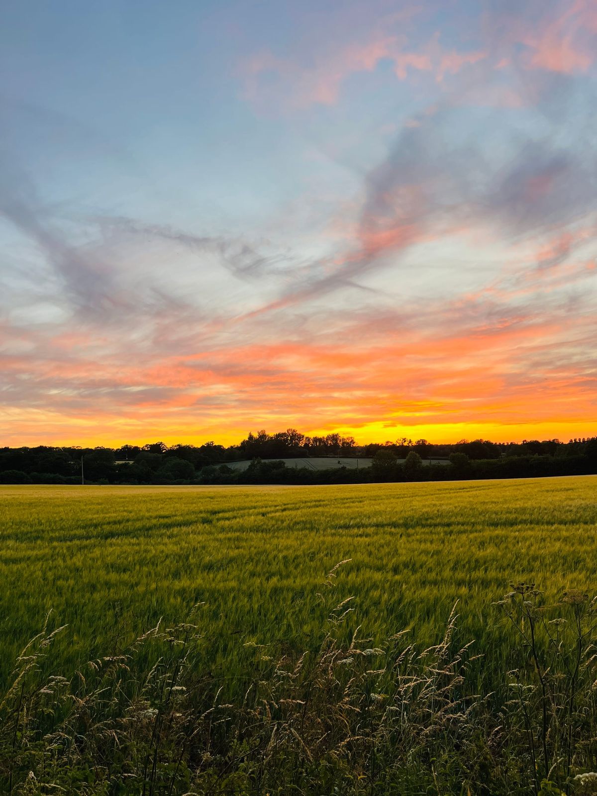 Day 7 - YouTube Inspiration Counts as Research