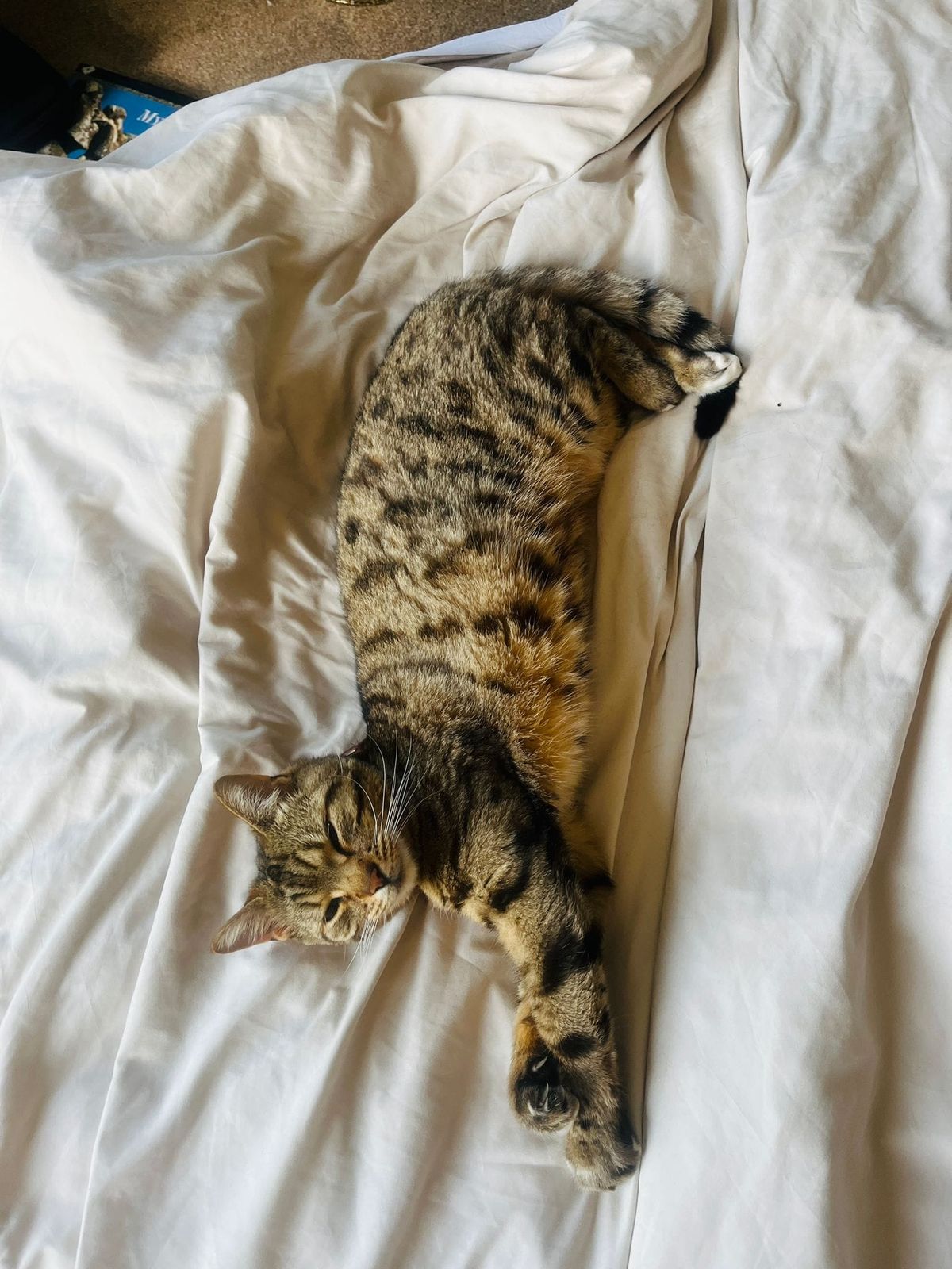 Day 8 - Casting and Writing Creative Briefs