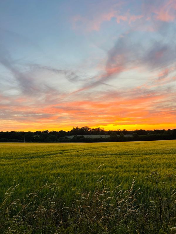 Day 7 - YouTube Inspiration Counts as Research