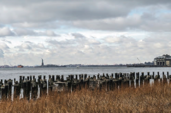 A Life in Landscape