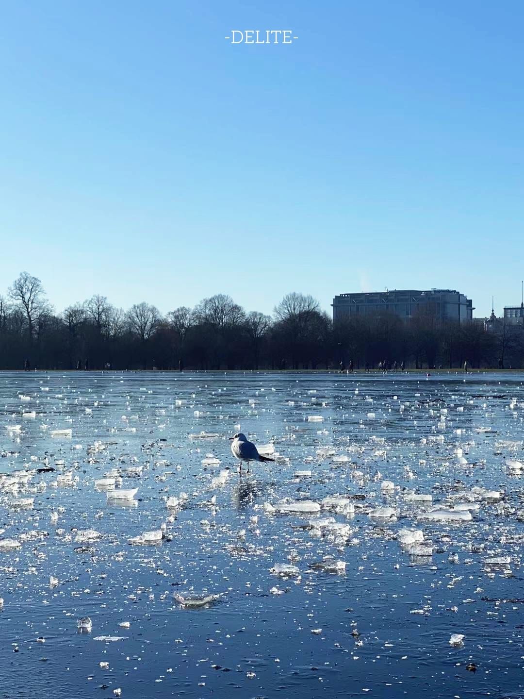 ————Ice Land————