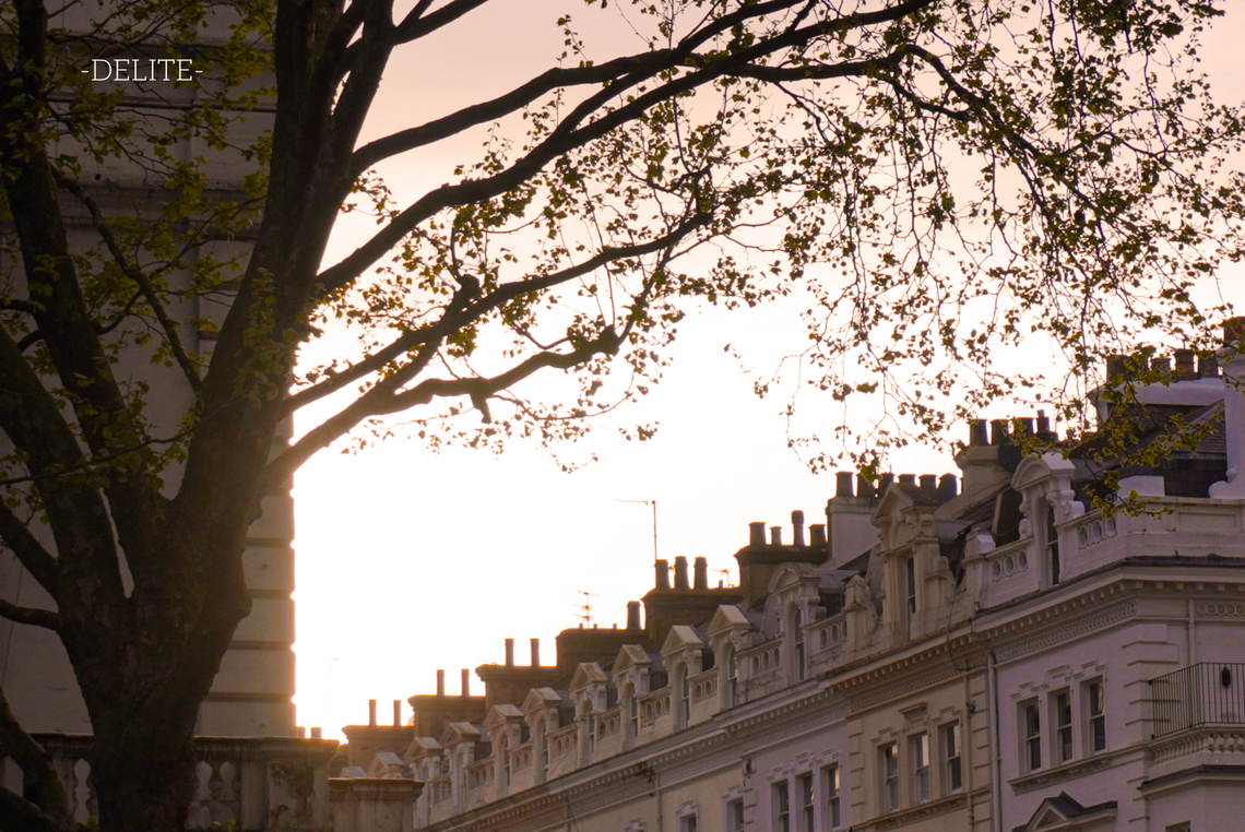 ————Still————