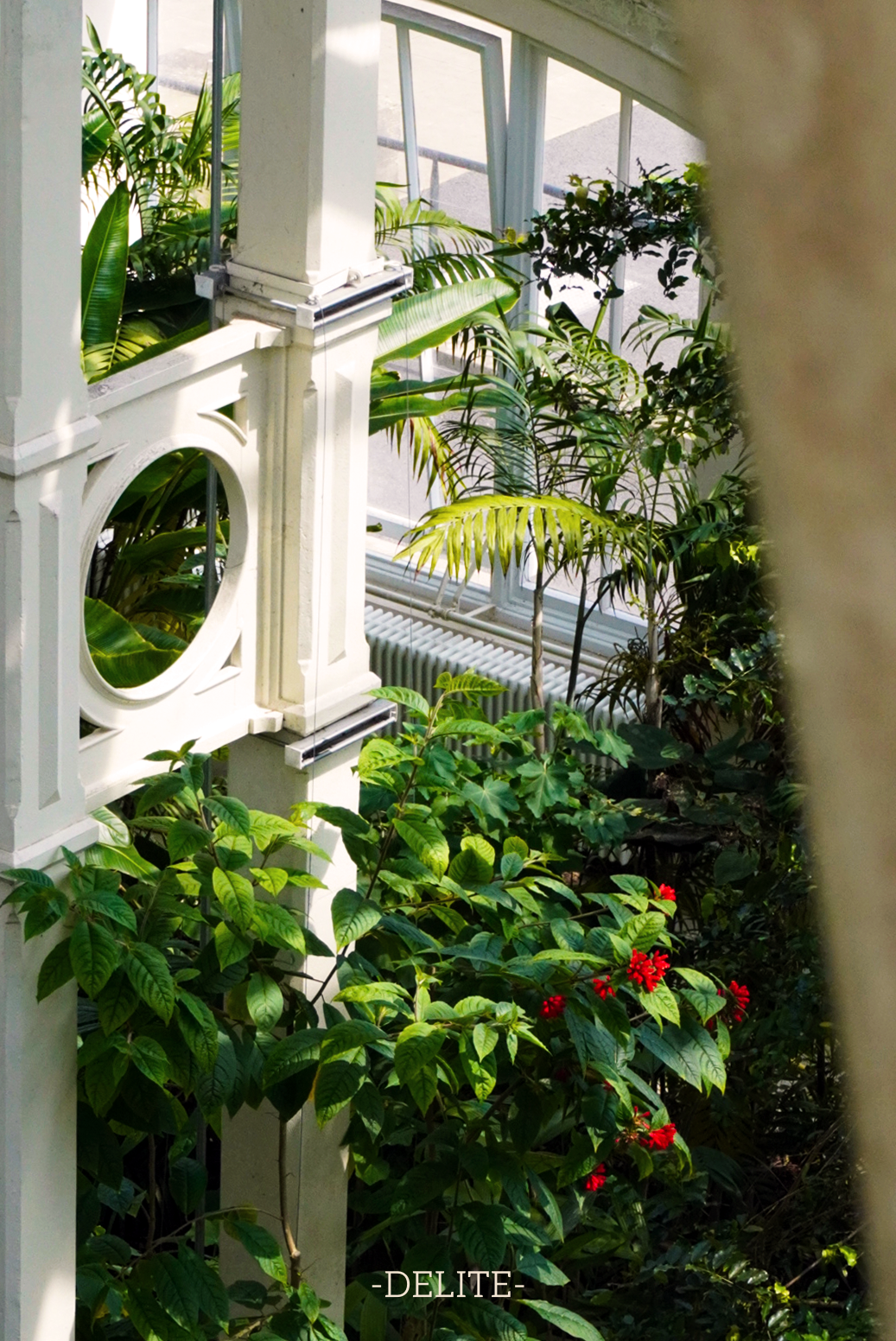 ————Hiding Red————