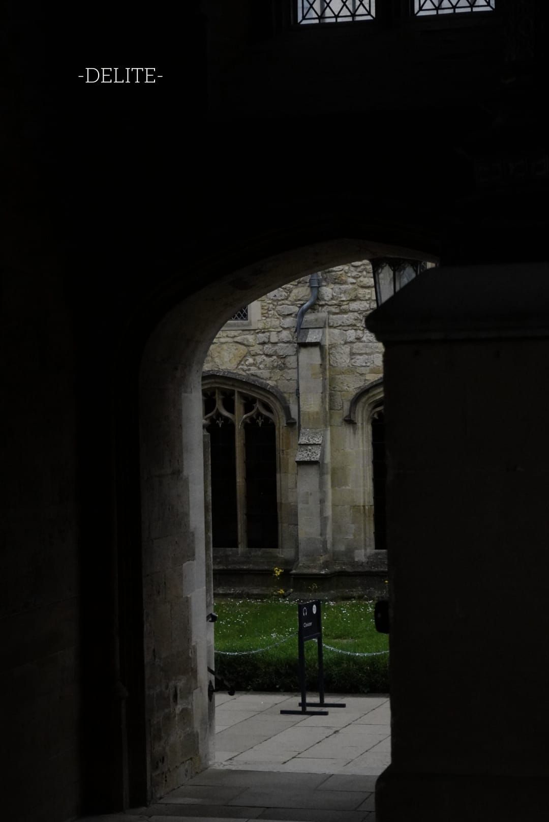 ————I Feel the Moss————