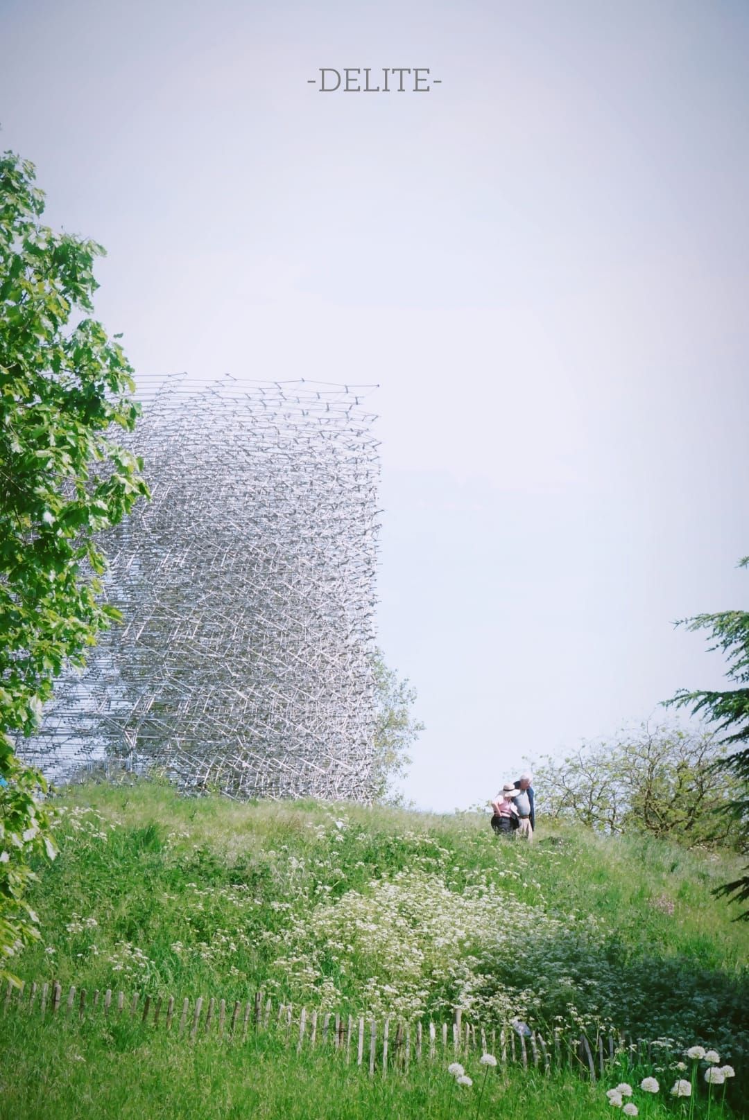 ————The Hive————