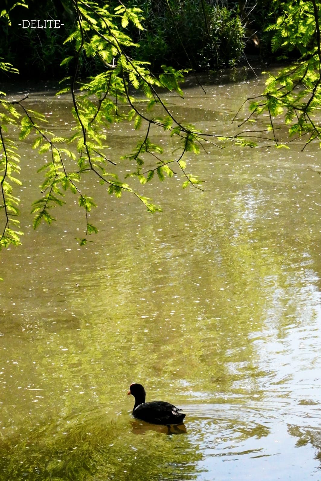 ————Mild April————