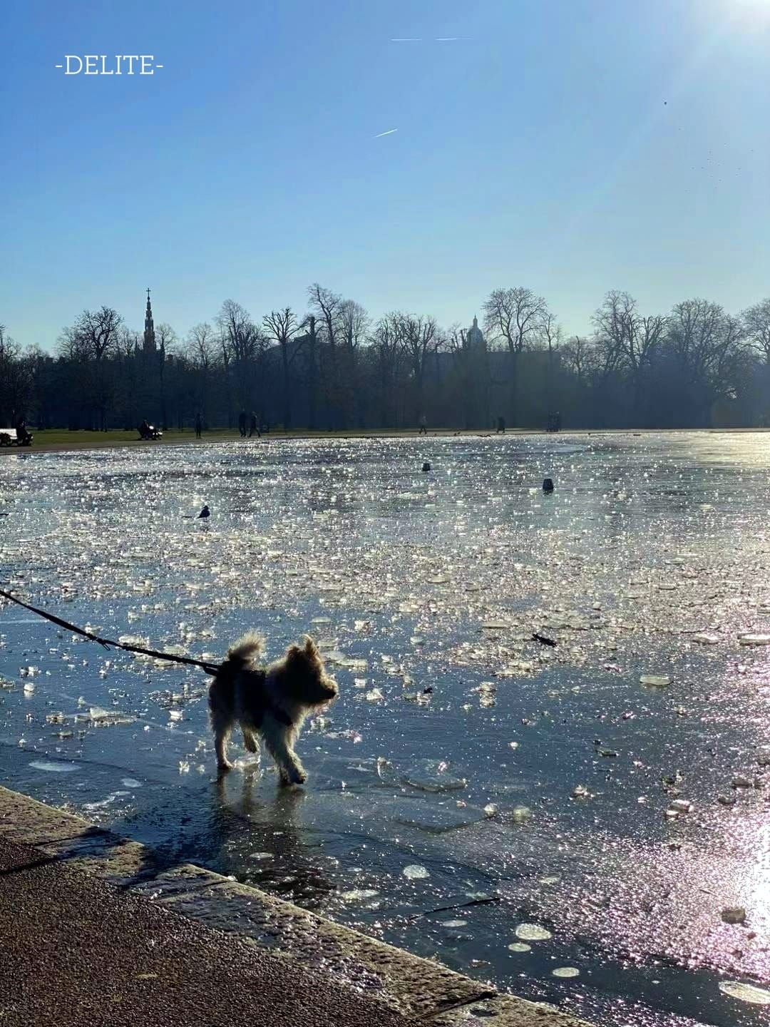 ————Walking on the lake...?————
