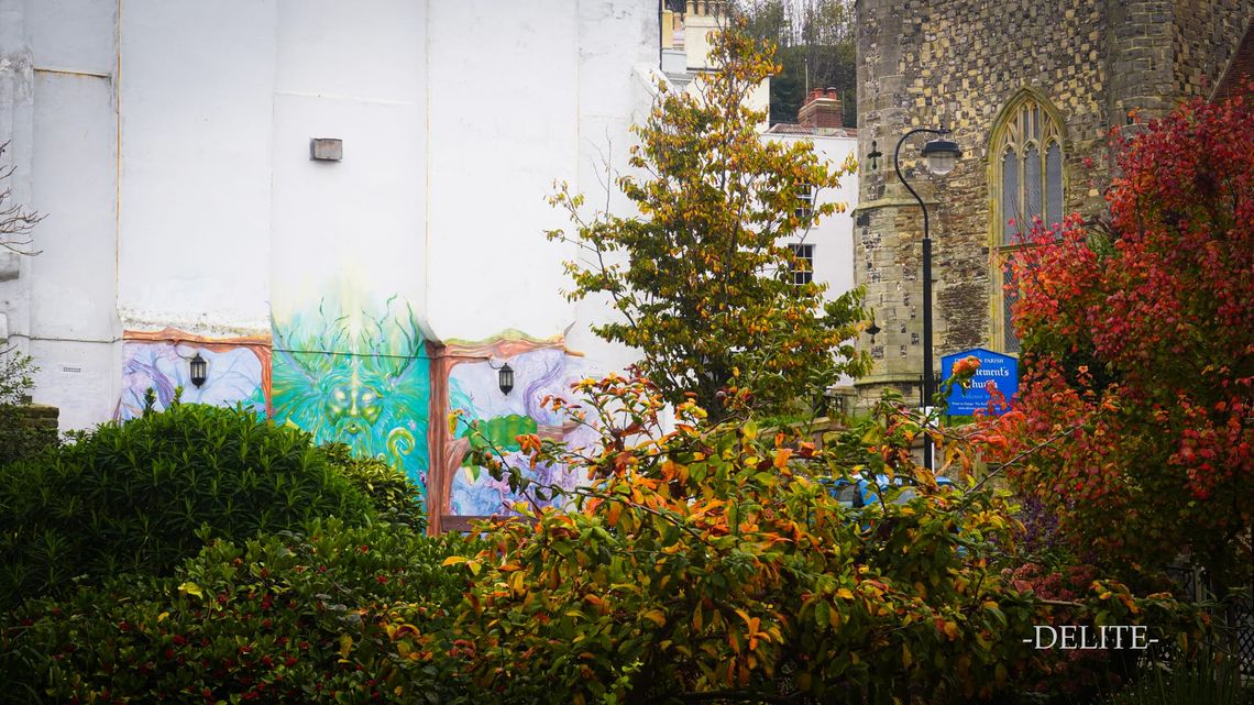 ————Secret Garden————