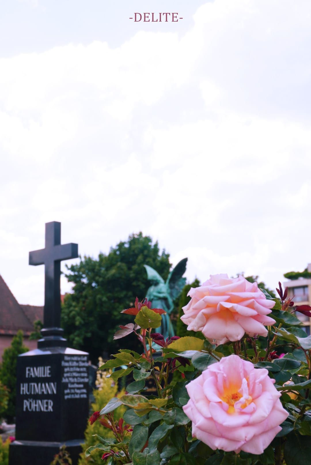 ————Rose Cemetery————