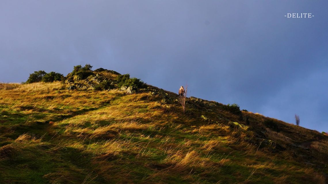 ————Golden Highland————