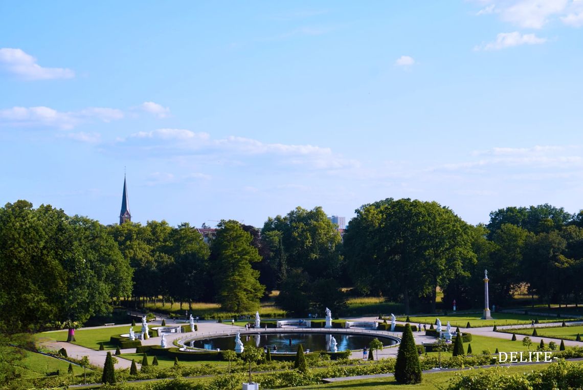 ————Vineyard Pond————