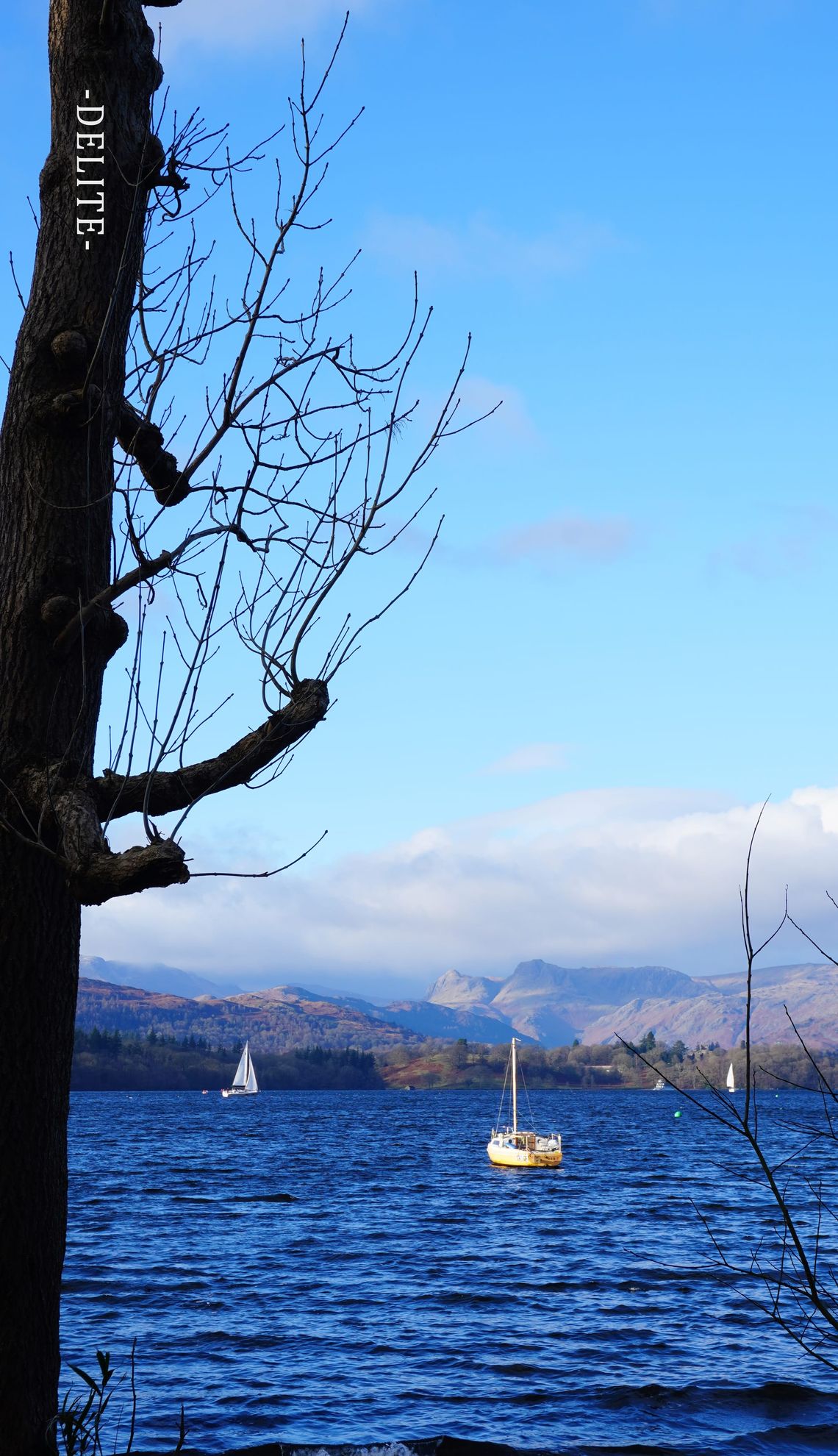 ————孤帆————