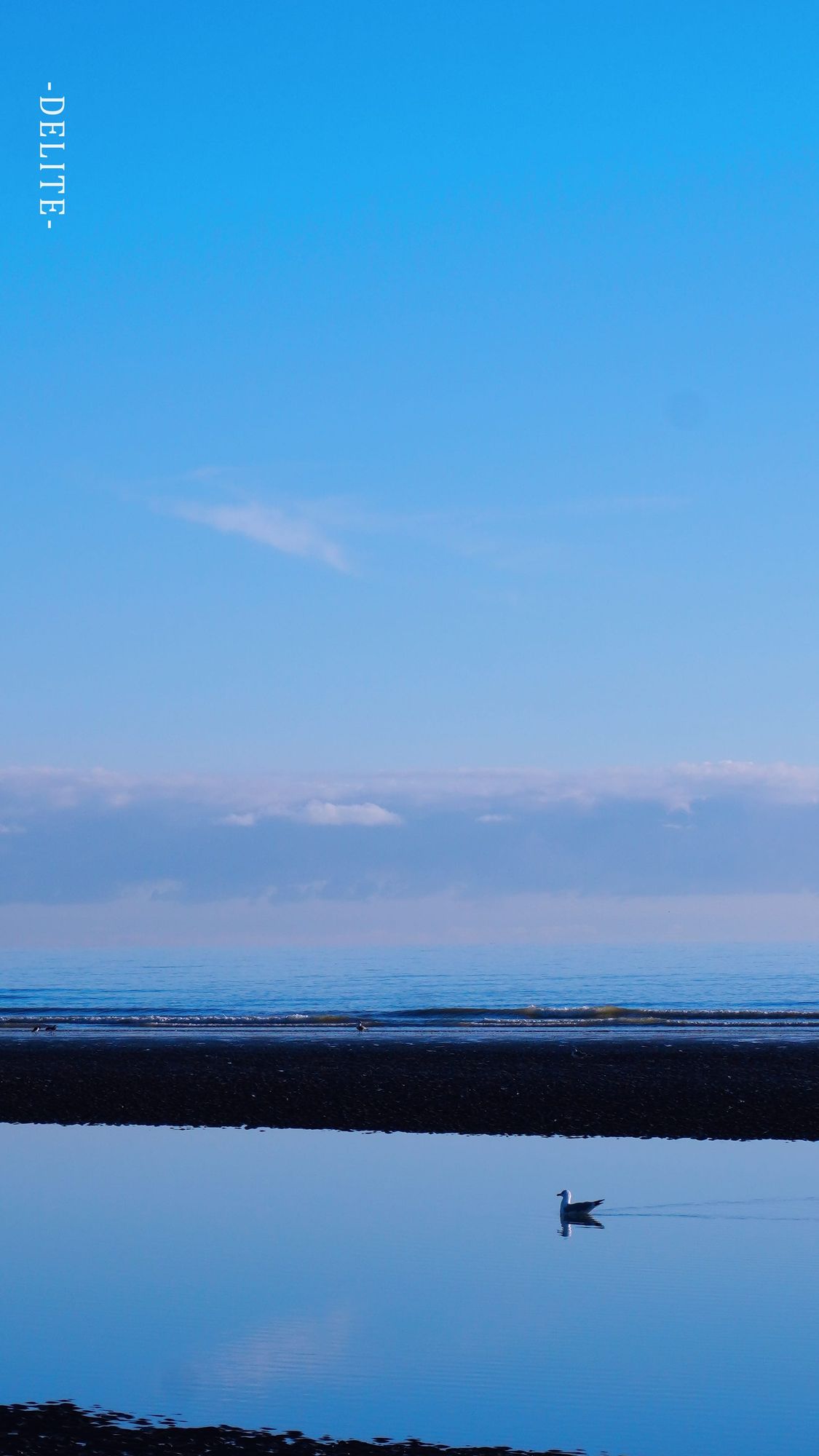 ————水鳥————