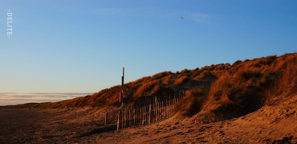 ————Idyll of the Sea————