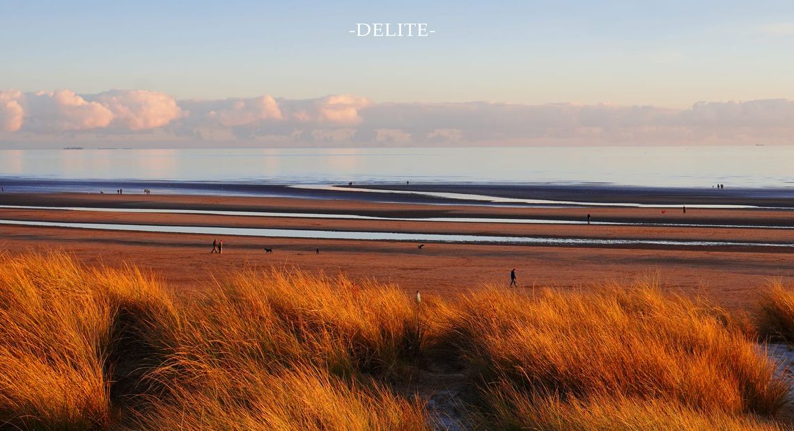 ————Golden Rye————