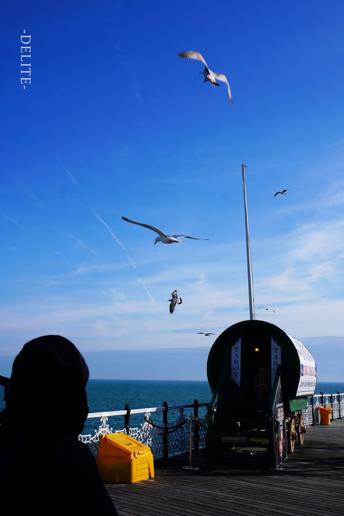 ————Harmony————