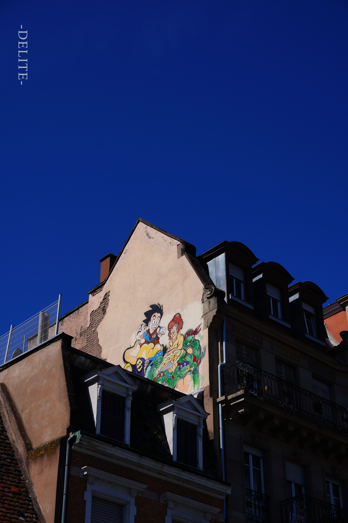 ————Elfin————